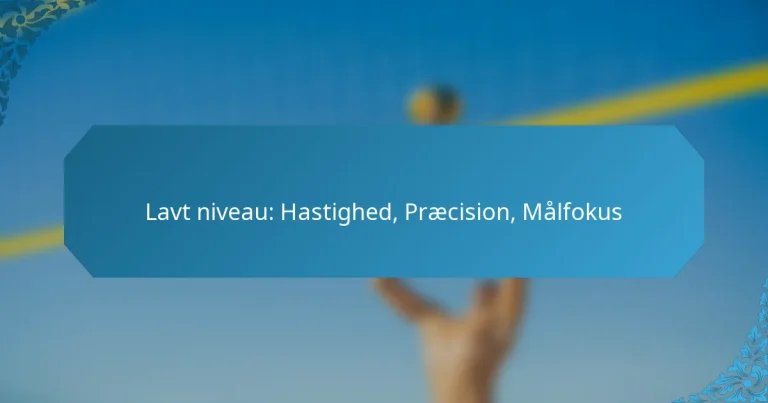 Lavt niveau: Hastighed, Præcision, Målfokus
